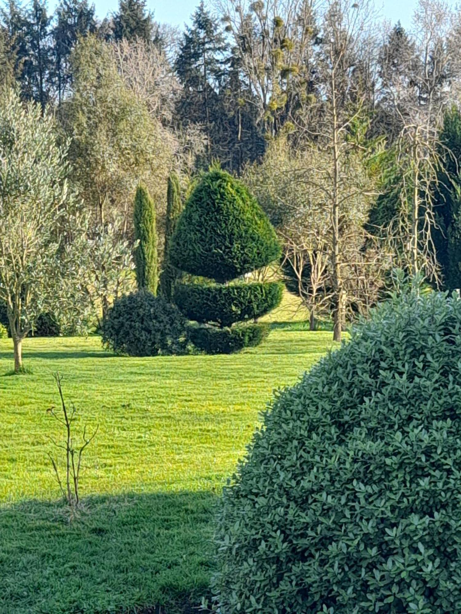Bed and Breakfast La Sellerie Romagne  Esterno foto